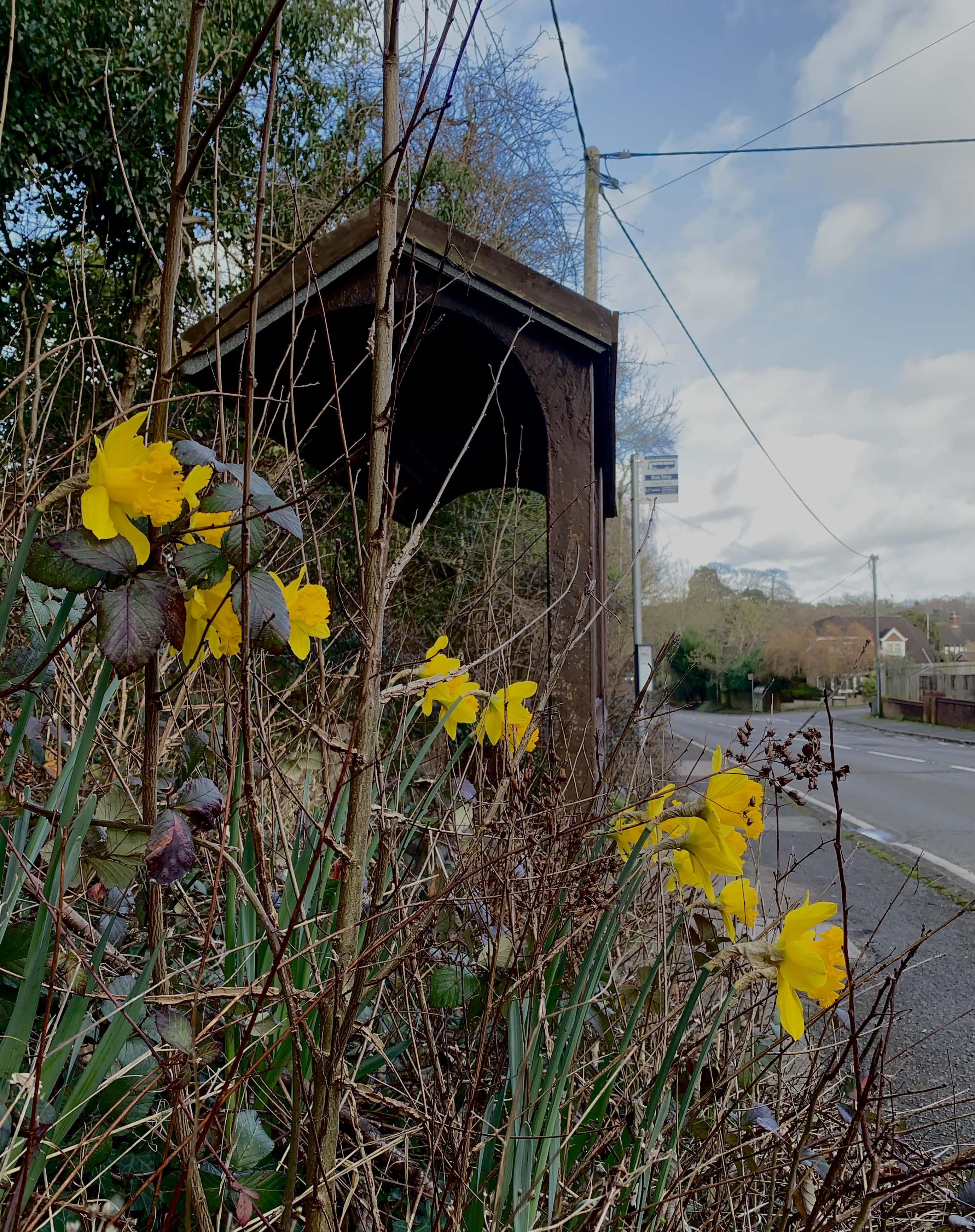 … waiting for the bus …