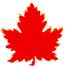 Maple Leaf